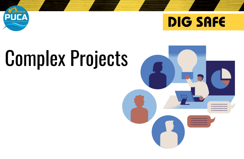 Complex Projects